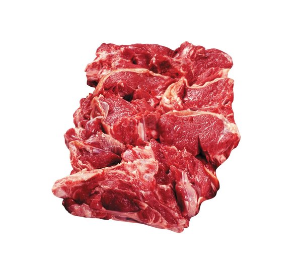 ¿Cómo adaptar una dieta para un loro con necesidades específicas?